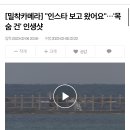 [밀착카메라] "인스타 보고 왔어요"…'목숨 건' 인생샷 이미지