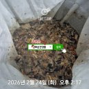 엄마손건강원 - 영주시 선비로 258 | 엄마손건강원