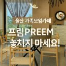 [울산 프림카페 후기] 꾸덕한 티라미수 갸또 쇼콜라에 반하다 – 가족과 조용히 힐링하기 좋은 곳