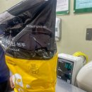 다(多)가치 새활용 프로젝트 <다시, 봄> | 새가버치 카카오메이커스 x 네스프레소 커피캡슐 새활용으로 환경을 지키는 후기