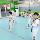 성무태권도장 - 금천구 시흥대로90길 33 | 성무태권도장