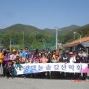 장산 이미지
