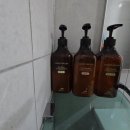 울릉도 올레펜션 네이버블로그