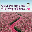 제814회 로또 1등 당첨을 비나이다~~1154일차 이미지