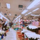 양재시장 이미지