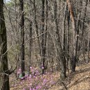 위 노래연습장 이미지