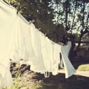 나영이네 이미지