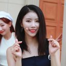 미주꽃