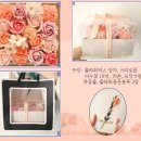 재미드니연구소