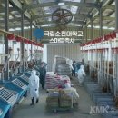 한우를세계로