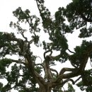 천문과학관주차장 이미지