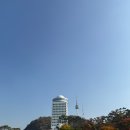 은행파출소 | 🍂 남산 백범광장 단풍 후기ㅣ2025년 11월 기준 서울 가을단풍명소