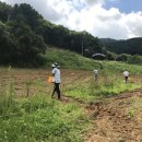 메밀정원 이미지