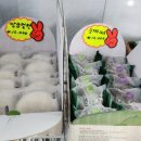보드레모시떡송편중마점