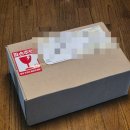 웁스(OOPS) | 실내디퓨저 추천 무무네 영하고 힙한 디자인의 디퓨져 웁스 OOPS : 향 추천