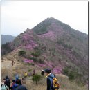 진례산 진달래꽃이 만개한 늦은 오후 산행(4/11일)/전남 여수 이미지