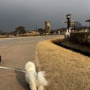 석빙고 공영주차장 이미지