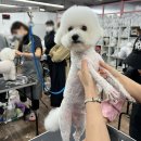 산호동150 이미지