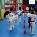 튼튼한태권도 이미지