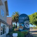 카프리모텔 | [로토루아 숙소]Capri on Fenton 카프리 온 펜턴 ,아리스타 카프리 모텔