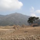 지경수가든 이미지