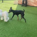 멍품유치원 이미지