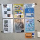 당산 요가 추천 애니원요가 선유도점에서 플라잉요가 원데이 후기