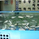 성북-돈암-2669 이미지