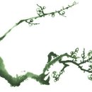 향기4로 이미지