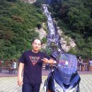 윙바이크 이미지