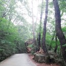 속리산둘레길 순환구간 이미지