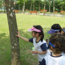 율산유치원 이미지