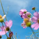 삼척시종합관광안내소 이미지