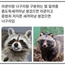 멍멍이집 | [홍대입구]쥬민센터 솔직후기|홍대 동물 카페