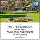 한국 듀이