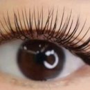 JH라피네 이미지