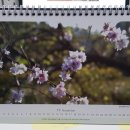 라파지압원 이미지