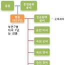 제13대 명종/제13대 명종실록 이미지