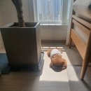 신마산 태평양 약국 이미지