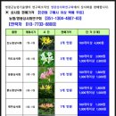 향우백반 | [영광, 전주, 부여, 공주] ①영광군 여행(불갑사, 영광노을전시관, 법성포, 영광굴비)