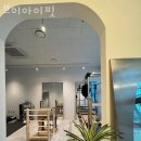 브이아이핏 이미지