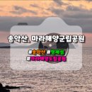 던킨도너츠제주송악산점