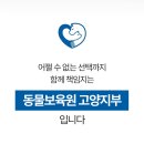 동물보육원 이미지