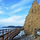 해안시장 내 이미지