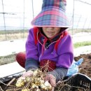 송암리 농장 이미지