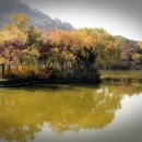 대구 두류공원 내 성당못 주변의 가을 풍경 이미지