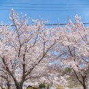 남해정보산업고등학교 이미지