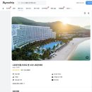 신세계빌라 앞 | 나트랑 숙소 추천 / 빈펄리조트 풀빌라 조식 수영장 내돈내산 할인 특가 후기 🩵