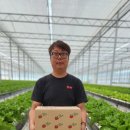 법인청춘베리팜