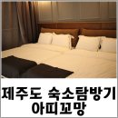 아띠꼬망 이미지